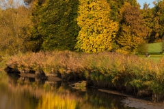Bucher Stausee
