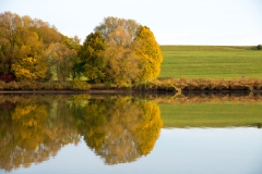 Bucher Stausee