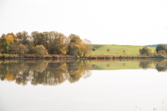 Bucher Stausee