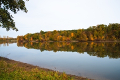 Bucher Stauchsee