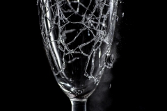 DSC4308