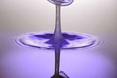 DSC5418