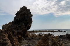 DSC4621