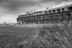 DSC4786