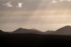 DSC5538