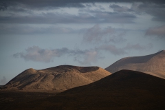 DSC5545