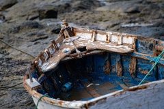 DSC5636