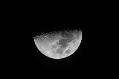 DSC5954