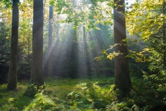 Bei Hülen
