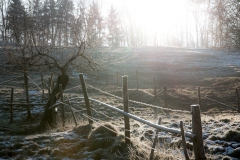 Am Filgenbach bei Niederalfingen