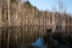 Am Haslbachstausee