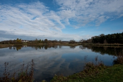 DSC7183