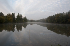 0011_vorher