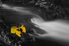 0112_nachher