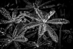 0262_nachher