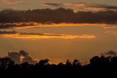 DSC4549
